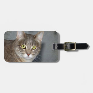 Etiqueta Para Maletas Fred