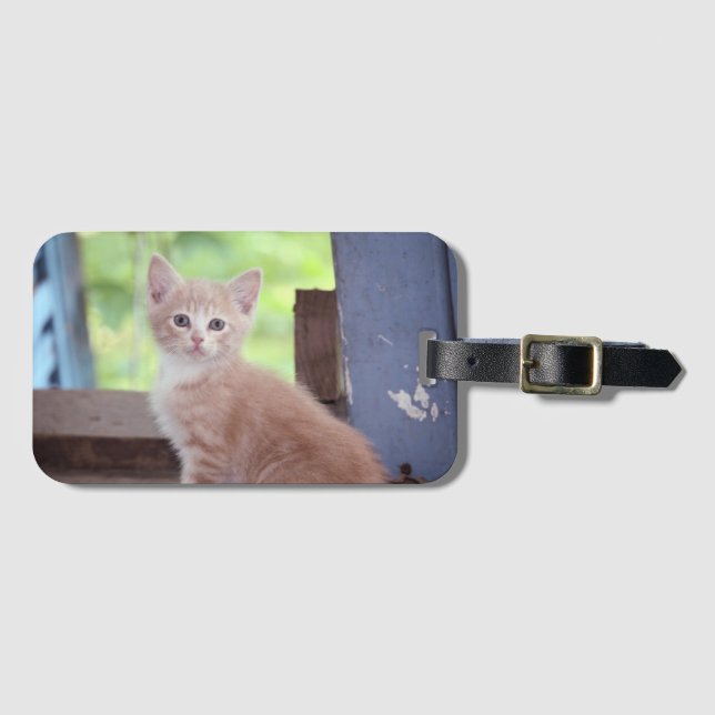 Etiqueta Para Maletas Gatito (Anverso horizontal)
