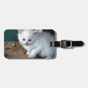 Etiqueta Para Maletas Gatito blanco