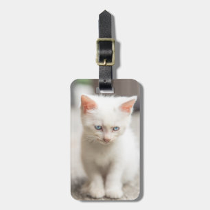 Etiqueta Para Maletas Gatito blanco