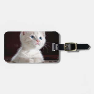 Etiqueta Para Maletas Gatito blanco súper lindo