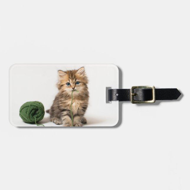 Etiqueta Para Maletas Gatito con hilado verde (Frente Horizontal)