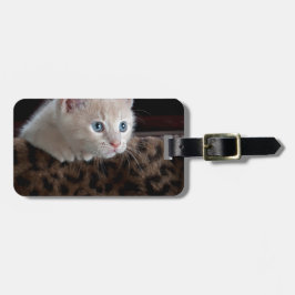 Etiqueta Para Maletas Gatito crema con hermosos ojos azules