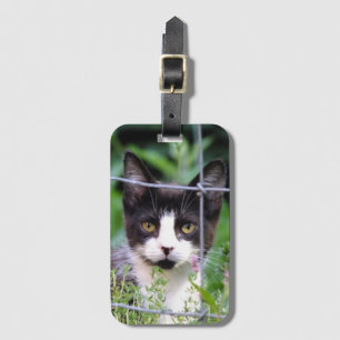 Etiqueta Para Maletas Gatito de Esmoquin en el Jardín