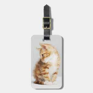 Etiqueta Para Maletas Gatito del jengibre