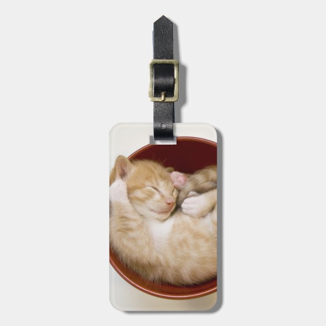 Etiqueta Para Maletas Gatito dormido (Frente Vertical)