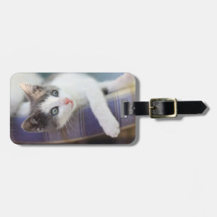 Etiqueta Para Maletas Gatito dulce en cama de la tela escocesa