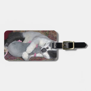 Etiqueta Para Maletas Gatito durmiente