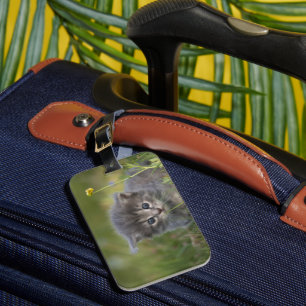 Etiqueta Para Maletas Gatito Lindo Personalizado