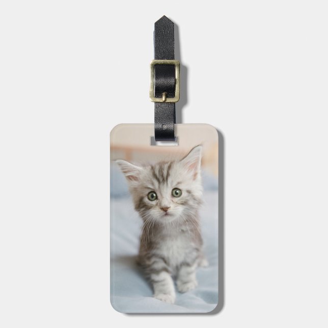 Etiqueta Para Maletas Gatito Maine Coon (Frente Vertical)
