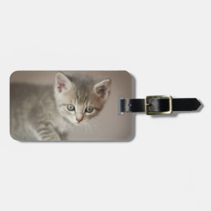 Etiqueta Para Maletas Gatito minúsculo