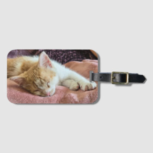 Etiqueta Para Maletas Gatito naranja dormido