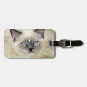 Etiqueta Para Maletas Gatito Ragdoll