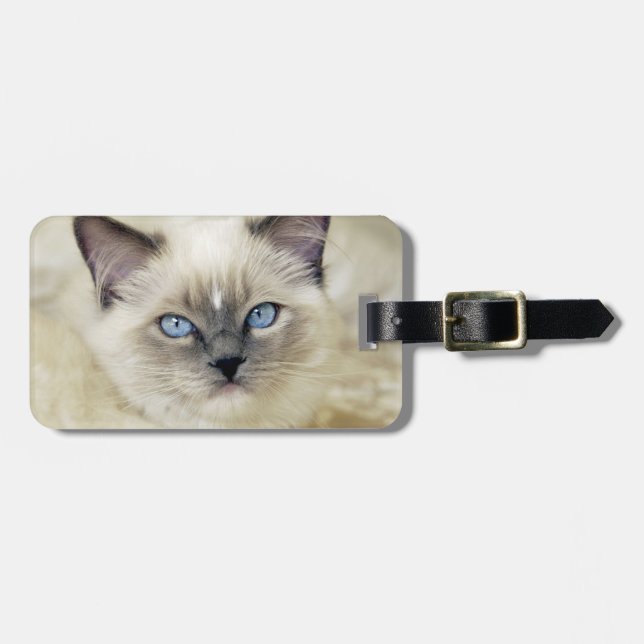 Etiqueta Para Maletas Gatito Ragdoll (Frente Horizontal)