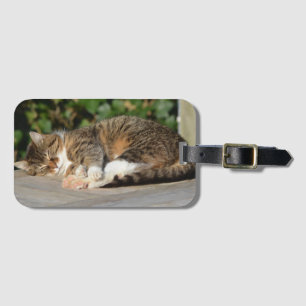 Etiqueta Para Maletas Gatito somnoliento