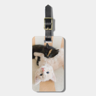 Etiqueta Para Maletas Gatitos blancos y negros