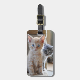 Etiqueta Para Maletas Gatitos curiosos
