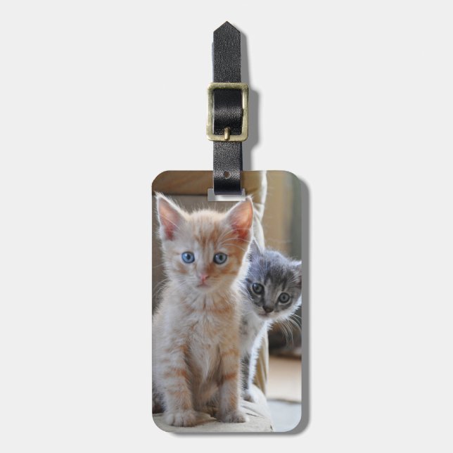 Etiqueta Para Maletas Gatitos curiosos (Frente Vertical)
