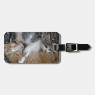 Etiqueta Para Maletas Gatitos de la abrazo