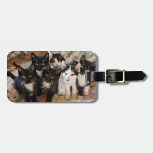 Etiqueta Para Maletas Gatitos del smoking (Frente Horizontal)