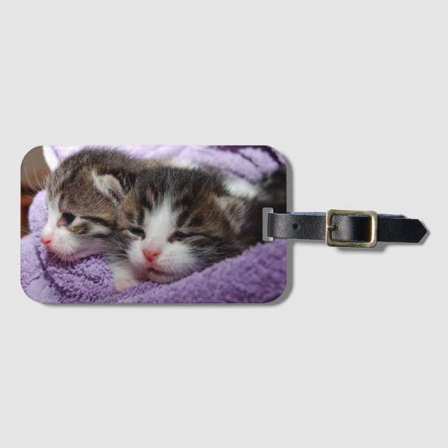 Etiqueta Para Maletas Gatitos dulces soñolientos (Anverso horizontal)
