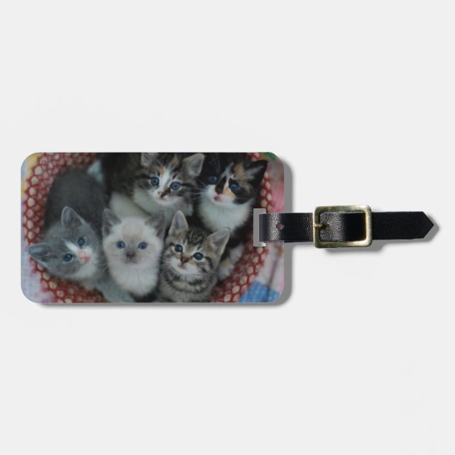 Etiqueta Para Maletas Gatitos en una cesta (Frente Horizontal)