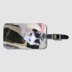 Etiqueta Para Maletas Gato