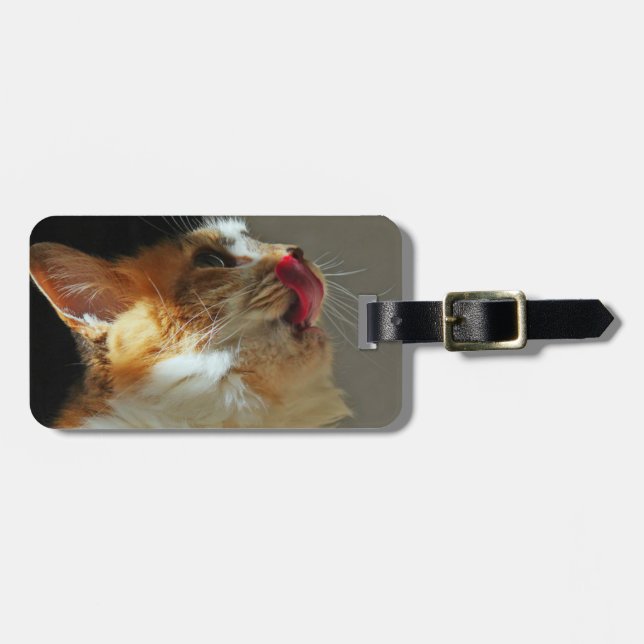 Etiqueta Para Maletas Gato (Frente Horizontal)