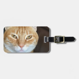 Etiqueta Para Maletas Gato atigrado naranja