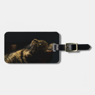 Etiqueta Para Maletas gato de perfil