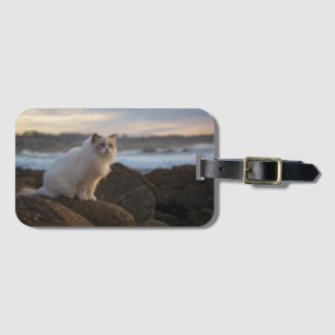 Etiqueta Para Maletas Gato De Ragdoll En La Playa