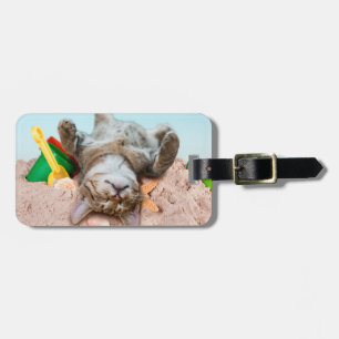 Etiqueta Para Maletas Gato en la playa y cielo azul