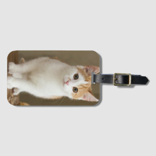 Etiqueta Para Maletas Gato, Ginger, Mascota