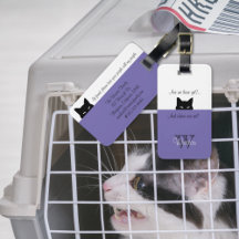 Gato incómodo donde estamos Periwinkle Mascota eti