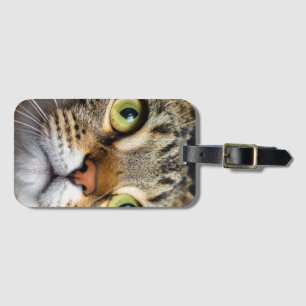 Etiqueta Para Maletas Gato lindo