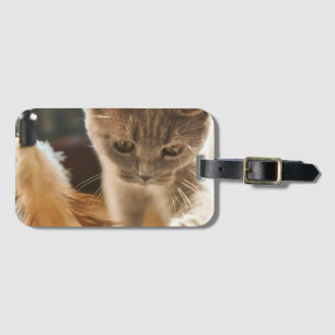 Etiqueta Para Maletas Gato, lindo, pequeño
