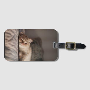Etiqueta Para Maletas Gato, Mascota, Gatito