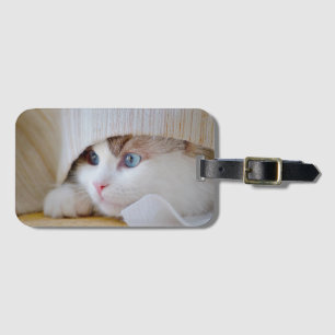Etiqueta Para Maletas Gato, Naturaleza, Gatito