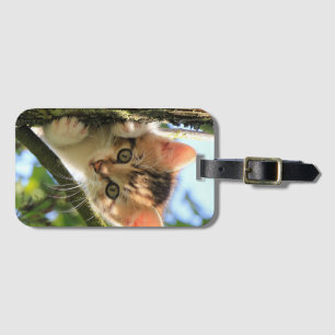 Etiqueta Para Maletas Gato, Naturaleza, Gatito
