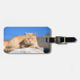 Etiqueta Para Maletas Gato perezoso