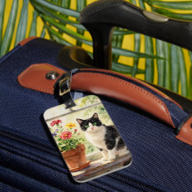 Gato y flores en alféizar en acuarela