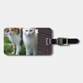 Etiqueta Para Maletas Gatos jugando afuera
