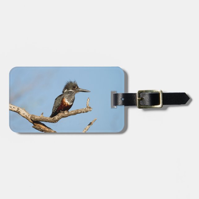 Etiqueta Para Maletas Giant Kingfisher (Frente Horizontal)