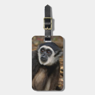 Etiqueta Para Maletas Gibón de manos blancas (Hylobates Lar), Monkeyland