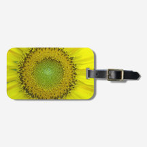 Girasol Amarillo