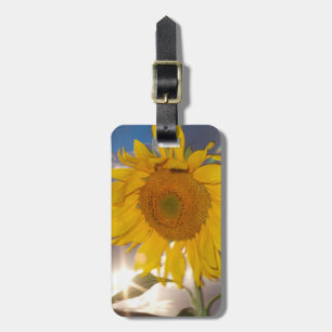 Etiqueta Para Maletas Girasol híbrido soplando en el viento al atardecer