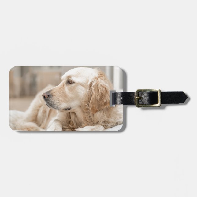 Etiqueta Para Maletas Golden Retriever (Frente Horizontal)