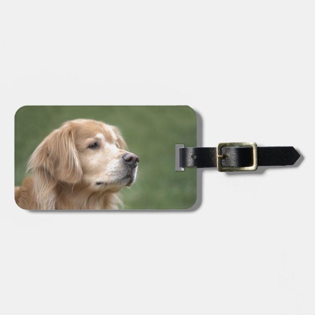 Etiqueta Para Maletas Golden retriever en primer (Frente Horizontal)
