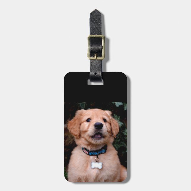 Etiqueta Para Maletas Golden Retriever Puppy (Frente Vertical)