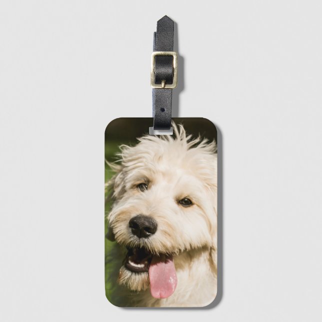 Etiqueta Para Maletas Goldendoodle (Anverso vertical)